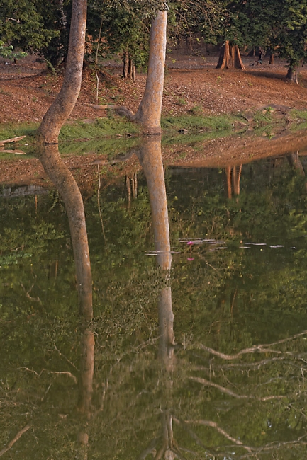 Angkor Vat-005